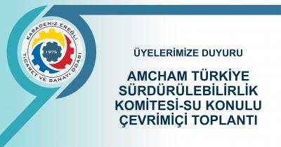 AMCHAM TÜRKİYE SÜRDÜRÜLEBİLİRLİK KOMİTESİ-SU KONULU ÇEVRİMİÇİ TOPLANTI
